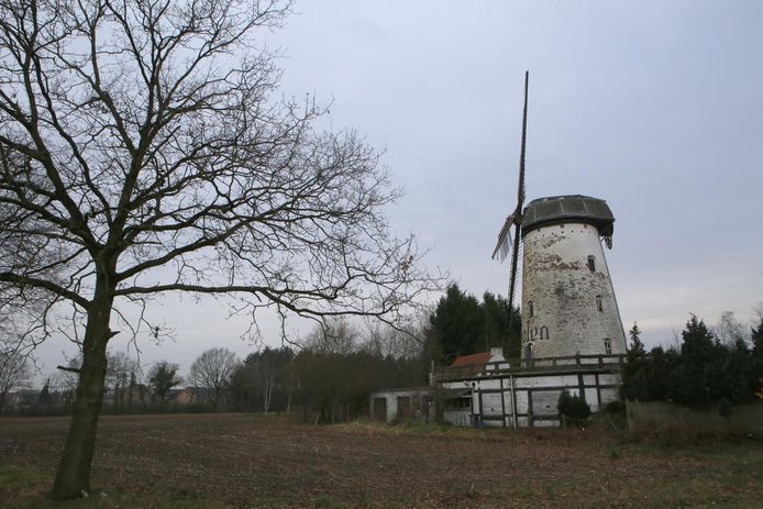 Dit voorjaar zouden de eerste ondernemrs hun palen in de grond kunnen slaan op het bedrijvenpark Witte Molen. De molen zelf krijgt een grondige renovatie.