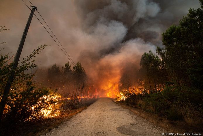 Beeld van de brand in het Franse departement Gironde. Beeld gemaakt op 10 augustus. © SDIS 33 via Bestimage