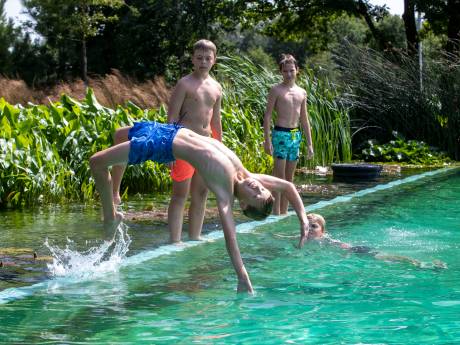 Plantjes die zwemwater schoonhouden, in plaats van chloor: opnieuw lobby voor een ecologisch buitenbad