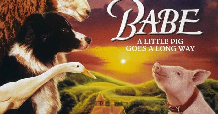 Het varkentje werd vernoemd naar het zwijntje 'Babe'.  In die Australische film uit 1995 neemt een varkentje met succes  de rol van herdershond op zich.