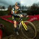 Bondscoach gaat uit van WK veldrijden zonder Van Aert: ‘Andere Belgen kunnen profiteren’