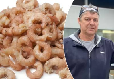 Belgische vissers vangen drie keer zoveel en toch wordt grijze garnaal 61% duurder in supermarkt: hoe kan dat?