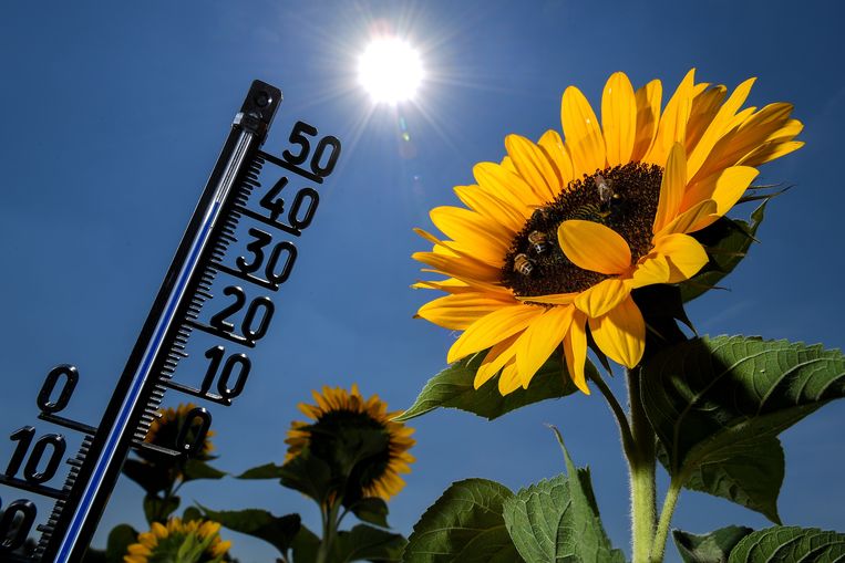 Zomer 2018 in België was de warmste sinds 1833 | De Morgen