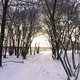 Reisaanbieding - winterse wildtochten