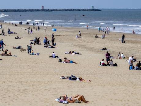 Maak het strand schoon en je mag gratis naar Sea Life