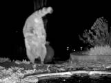 Nachtcamera filmt wasbeer die handstand doet in VS