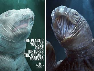 Schokkende campagne met stikkende zeedieren wijst op gevaar van plastic in oceanen