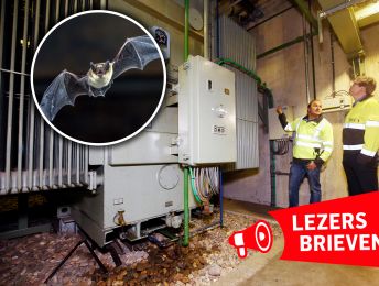 Van vleermuis die stroomstoring kan veroorzaken tot nieuwe culturele hotspot: dit speelt er bij de lezers