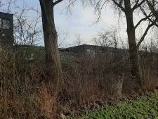 Plannen voor huisvesting arbeidsmigranten aan Energieweg nog springlevend, definitief besluit valt pas in 2024