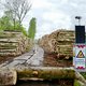 QR-codes geven uitleg na boomkap: dit hout eindigt níét in de biomassa