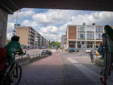 Kritiek op rigoureuze verandering Arnhemse buurt zwelt aan: ‘Handen af van Park Presikhaaf en Heemtuin!’