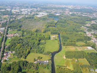 Opening nieuw Natuurpunt-wandelpad in Wellemeersen: “Prachtig, drassig natuurgebied”