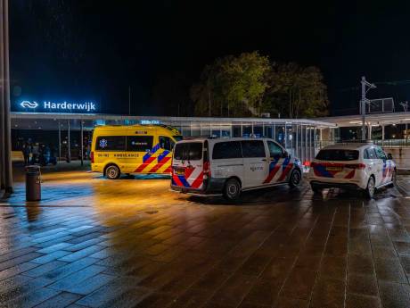 Vier mannen uit regio Amersfoort aangehouden na steekpartij in Harderwijk: slachtoffer naar ziekenhuis