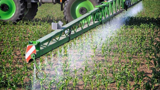 La Belgique n°1 à l'exportation d'un pesticide interdit en Europe