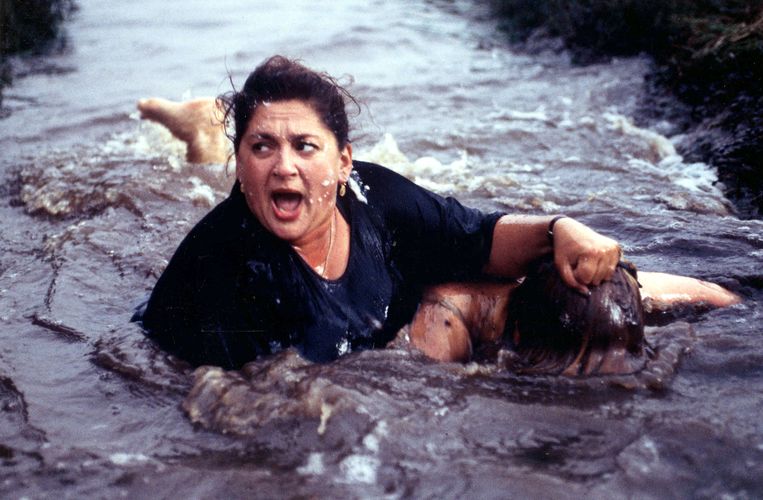 Wat maakt de films van Alex van Warmerdam eigenlijk zo typisch Van Warmerdams? TROUW