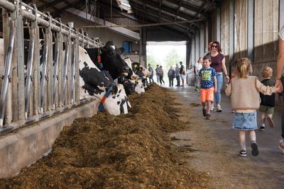 Dikbillen raden en aardbeien snoepen: honderden fietsers bij Fiets De Boer Op in Roosendaal en Nispe
