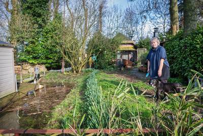 ‘Stop met ruziemaken’: Raad van State kritisch op alle partijen rond recreatiewoning in Hank