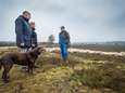 Herder Veluwse kudde lamgeslagen na weer een aanval op schapen: ‘Ze zagen er verschrikkelijk uit’