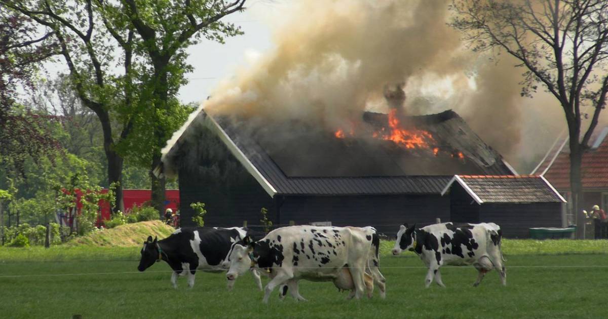 Grote uitslaande brand op boerenerf in Glane