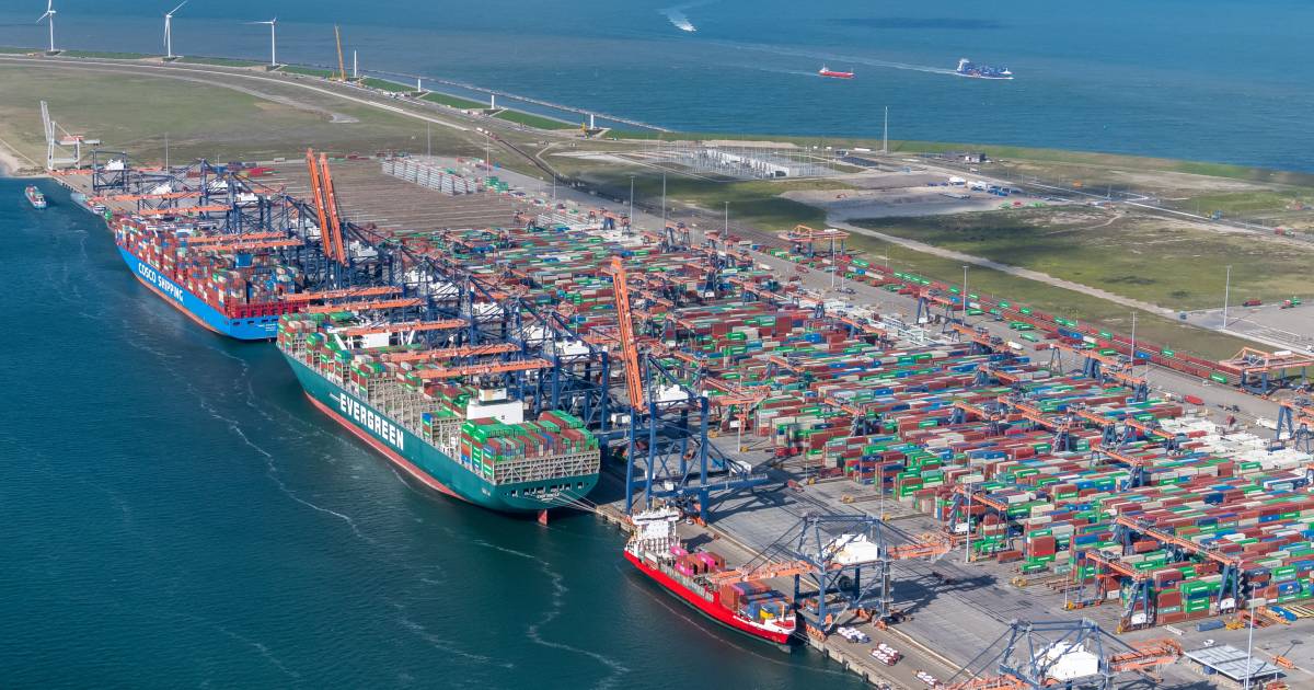 Eindelijk weer meer containers in Rotterdam en dat lijkt goed nieuws ...