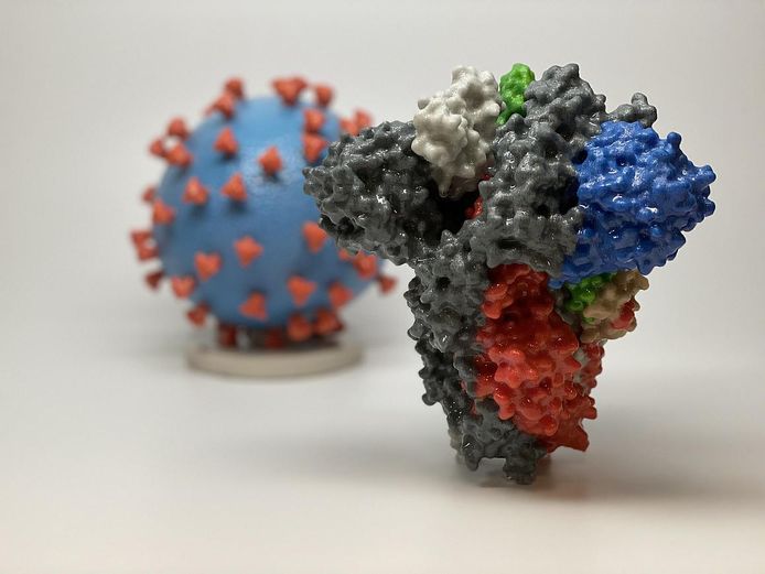 3D-print van het spike-eiwit van het SARS-CoV-2-virus op de voorgrond en van een viruspartikel op de achtergrond.