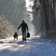 Vijf prachtwandelingen voor de kerstvakantie