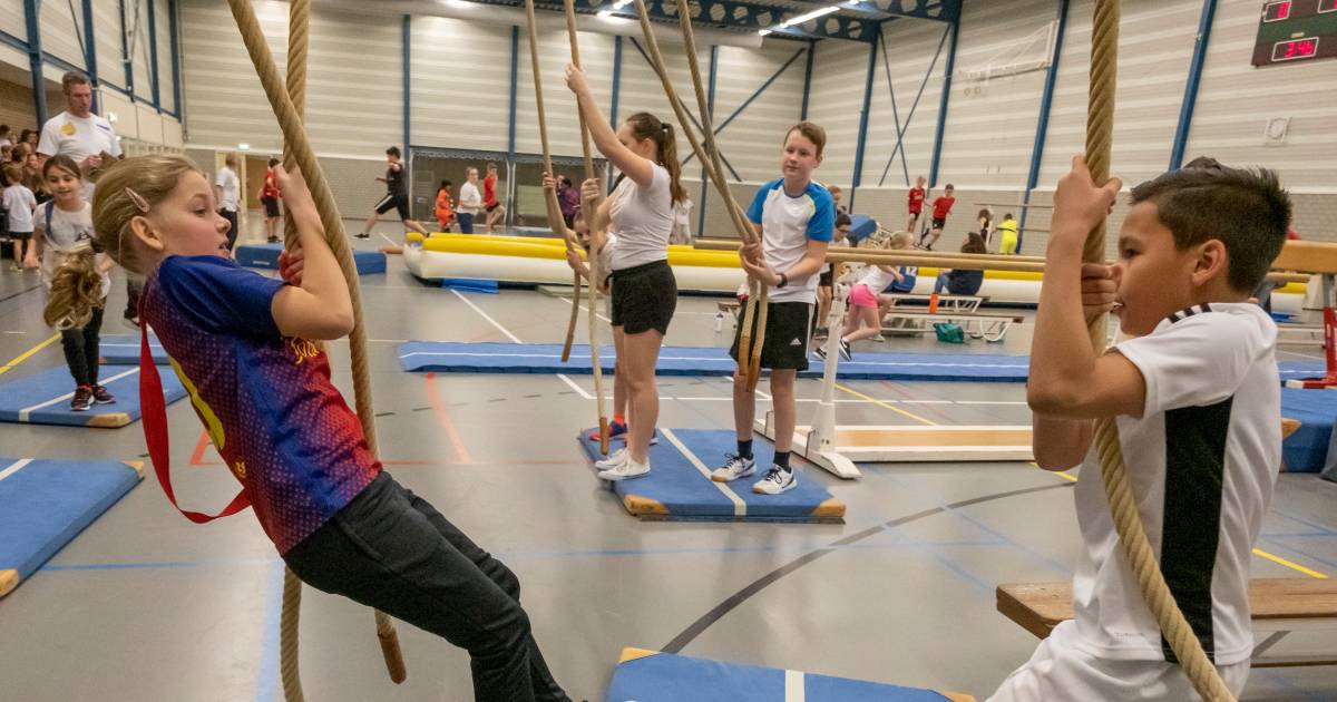 Volwassenen mogen nu ook meedoen aan Zeeuws kampioenschap apenkooien - PZC