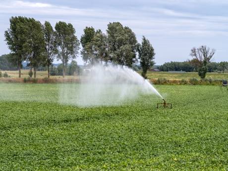 Waterpeil daalt snel, verbod op beregenen uitgebreid