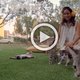Kom tot ontspanning met kitten therapie