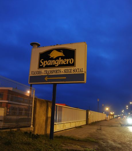Les salariés de Spanghero reprennent le travail