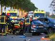 Loslopende hond die zware crash veroorzaakte droeg schokhalsband: ‘Dit had niet mogen gebeuren’<br>