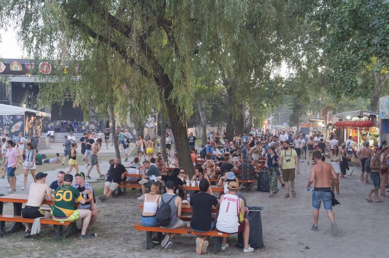 Het Sziget festival dat elk jaar in Hongarije wordt gehouden. Terrassen met eten en drinken trekken veel wespen aan.  Beeld Photo News/ Attila Volgyi/Polaris