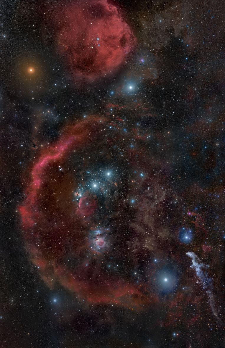 Het sterrenbeeld Orion, met linksboven (oranje) de ster Betelgeuze.  Beeld Rogelio Bernal Andreo