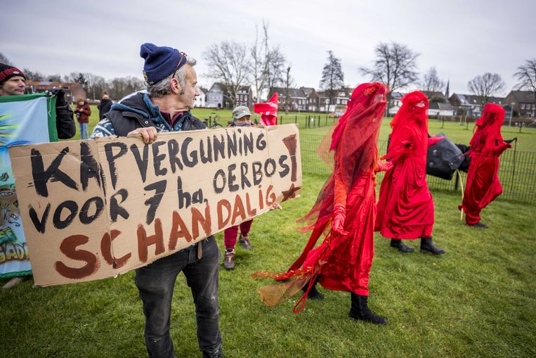 Het is economie versus natuur in het smalste stukje Nederland. 'Een bos opofferen past niet in deze 