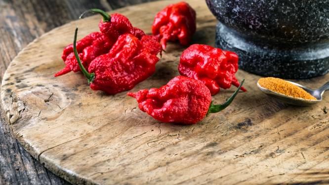 Kleine peper maakt groot verschil in je Hollandse pot