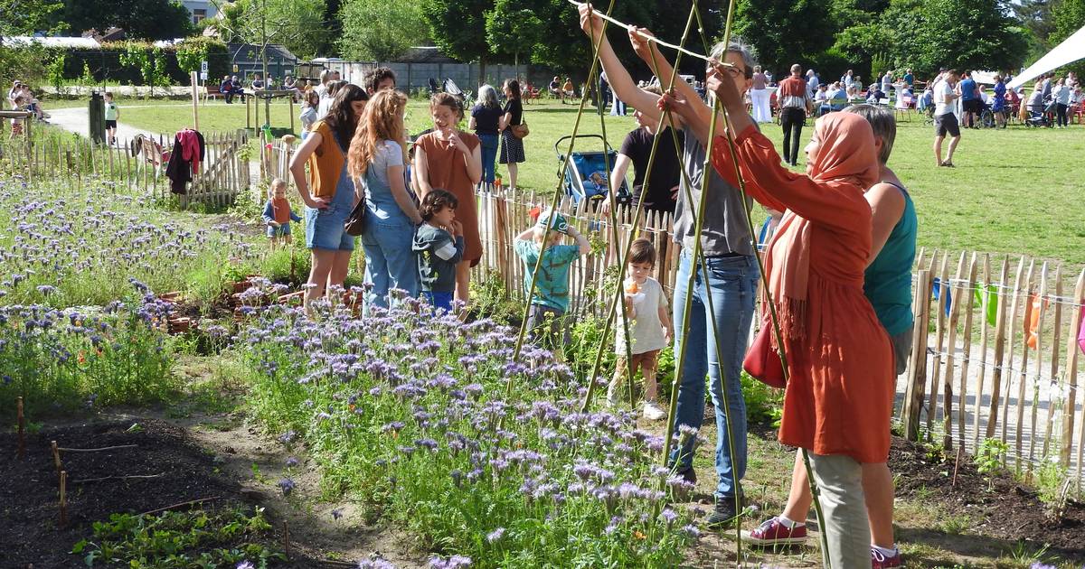 Nieuw park in Zwijnaarde van drie voetbalvelden groot, met buurtmoestuin en drie speelzones, officie
