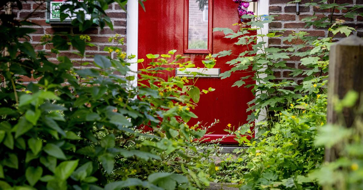 Seksdates En Drank Tóch Vingen John En Daisy Pleegkinderen Op ‘ze Deden Het Alleen Voor Het