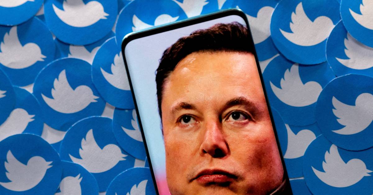 Musk ha chiesto nel sondaggio se dovesse dimettersi dalla carica di CEO di Twitter |  Internet