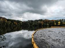Hoe schoon is jouw omgeving? De Gelderlander, De Stentor en Tubantia gaan met spade en loep op onderzoek uit