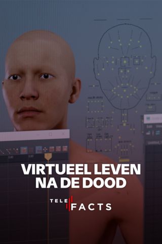 Virtueel leven na de dood