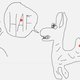 De grootste tekening ter wereld