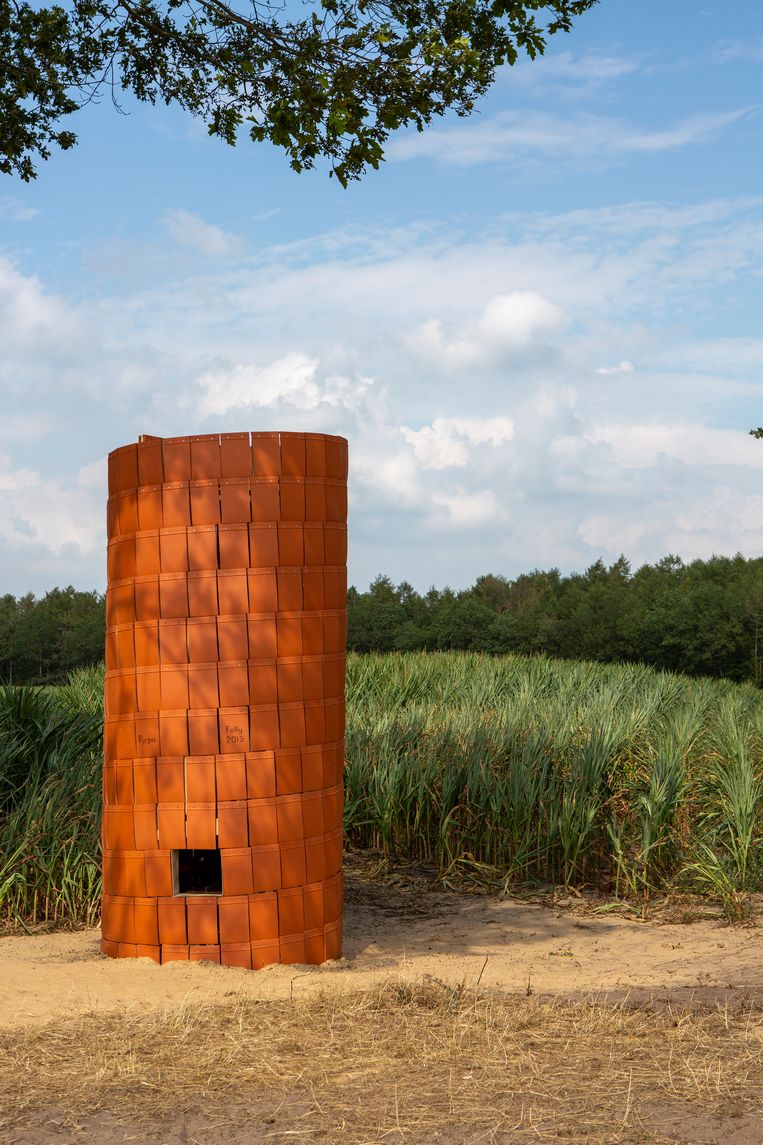 Pyros (Folly Art Norg, 2019), van Boudewijn ‘t Sas Beeld Edith Gerritsma
