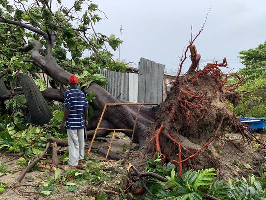 De straten in Barbados liggen bezaaid met bomen en elektriciteitskabels en ook heel wat scholen en regeringsgebouwen zijn zwaar beschadigd.