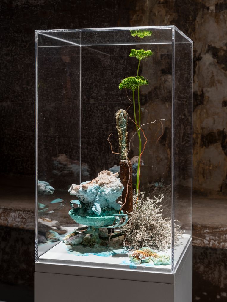 Objecten, gemaakt door kunstenaar Bianca Bondi, lijken natuurlijk koraal maar zijn gemaakt van huishoudelijk afvalmateriaal. Beeld Gunnar Meier