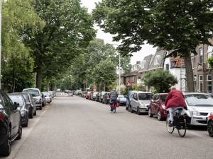 Betaald parkeerplan gaat flink op de schop in Nijmegen: ‘Voer het in waar het echt nodig is’