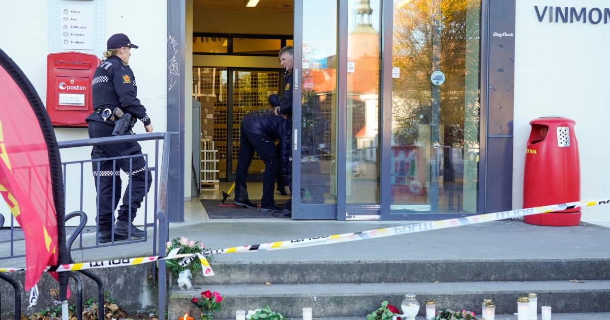 Нападение в норвежском Конгсберге, по данным полиции, возможно из-за подозрения на болезнь |  За рубеж