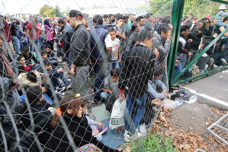 Vluchtelingen kunnen niet voorbij de grens tussen Servie en Hongarije. Beeld anp