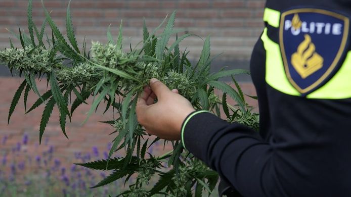 Het huis waarin de hennepkwekerij in Vorden was verstopt, gaat voor drie maanden op slot.
