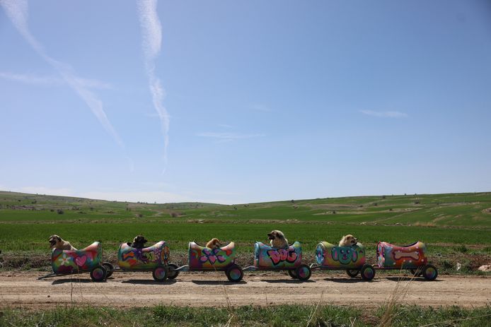 Een geweldig mooi beeld.