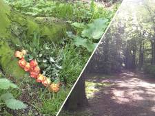 Wandelaars Scheveningse Bosjes opgelucht na arrestatie drievoudig moordverdachte Thijs H.